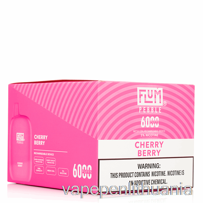 [10 Pak.] Flum Pebble 6000 Vienkartinis Vape Skystis